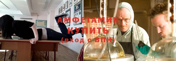 метадон Алексин