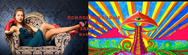 mdpv Пролетарск