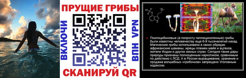 сайты даркнета клад  купить   Качканар  Псилоцибиновые грибы MAGIC MUSHROOMS 